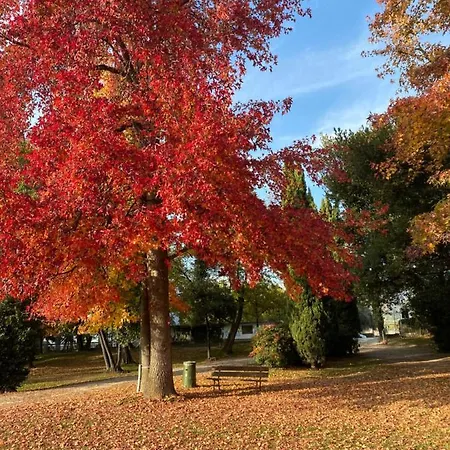 Paganini And Appartement *